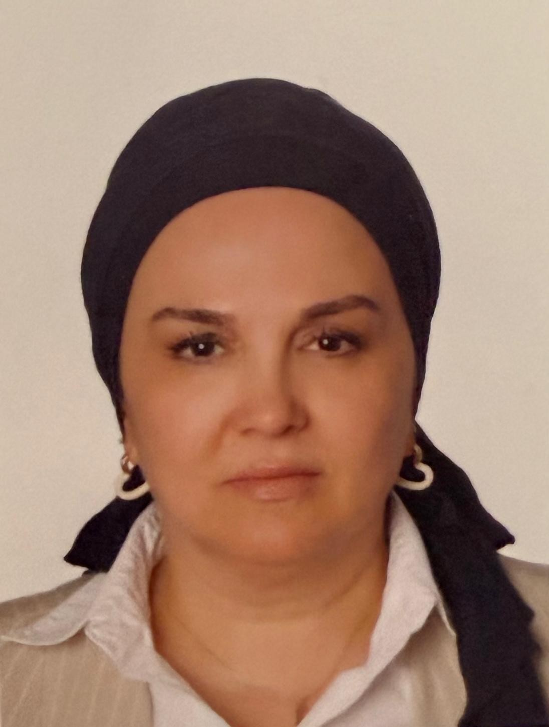 Direksiyon Eğitmeni